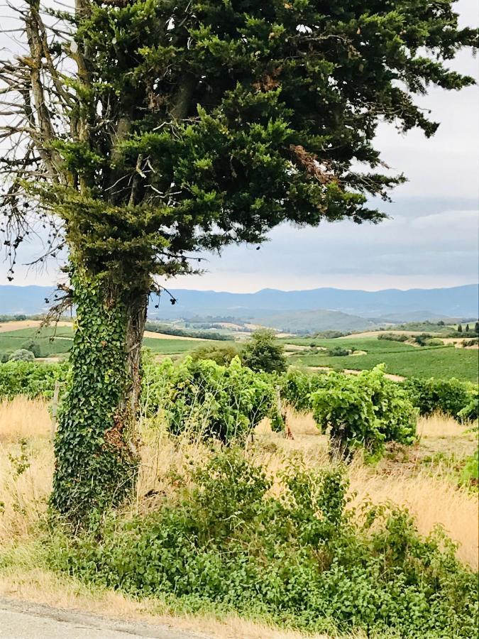 Coeur De Roses, Gite & Chambre D'Hotes Alaigne Exteriér fotografie