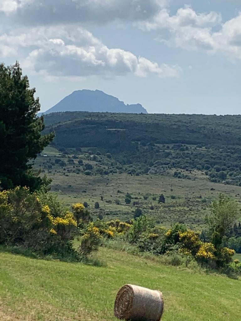 Coeur De Roses, Gite & Chambre D'Hotes Alaigne Exteriér fotografie