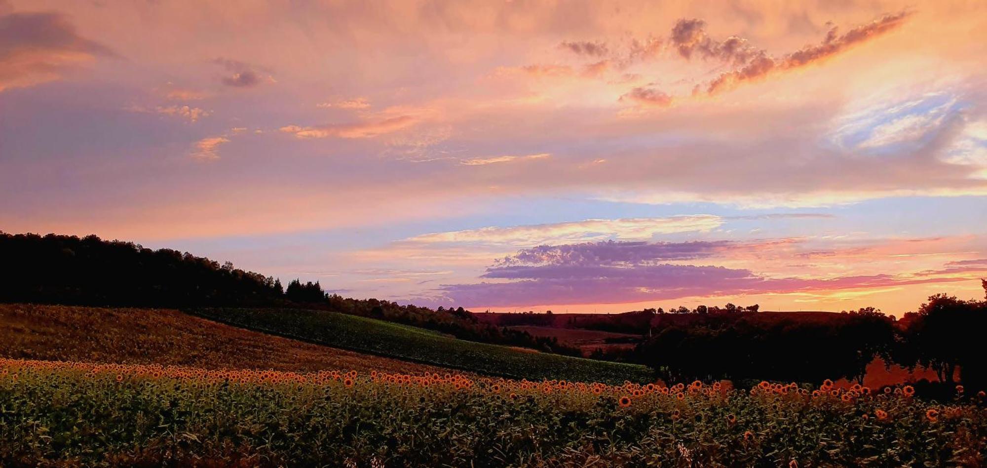 Coeur De Roses, Gite & Chambre D'Hotes Alaigne Exteriér fotografie